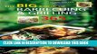 KINDLE The Big Book of Barbecuing   Grilling: 365 Healthy and Delicious Recipes (The Big Book
