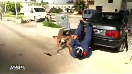 قناة M6 الفرنسية تواكب تدريبات الفوج الوطني لمجابهة الارهابوتقول انها تظاهي أعتى الفرق العالمية (فيديو)