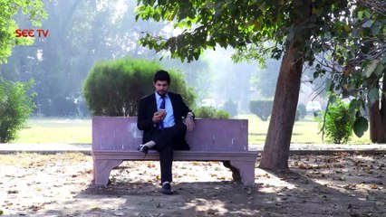 Apnay - Episode#40 - Complete - 25 Nov,2016 - SEE TV