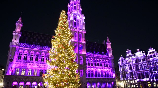 Ouverture des 16emes Plaisirs d'hiver à Bruxelles