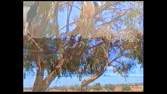 2002 Maroc Tétouan Essaouira...