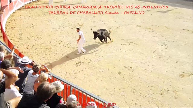 GRAU DU ROI-Taureau PAPALINO de CHABALLIER Claude-Course camarguaise-As-2016/09/15