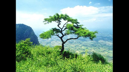 Deshattobodhok Gaan - Akbar Jete Dena