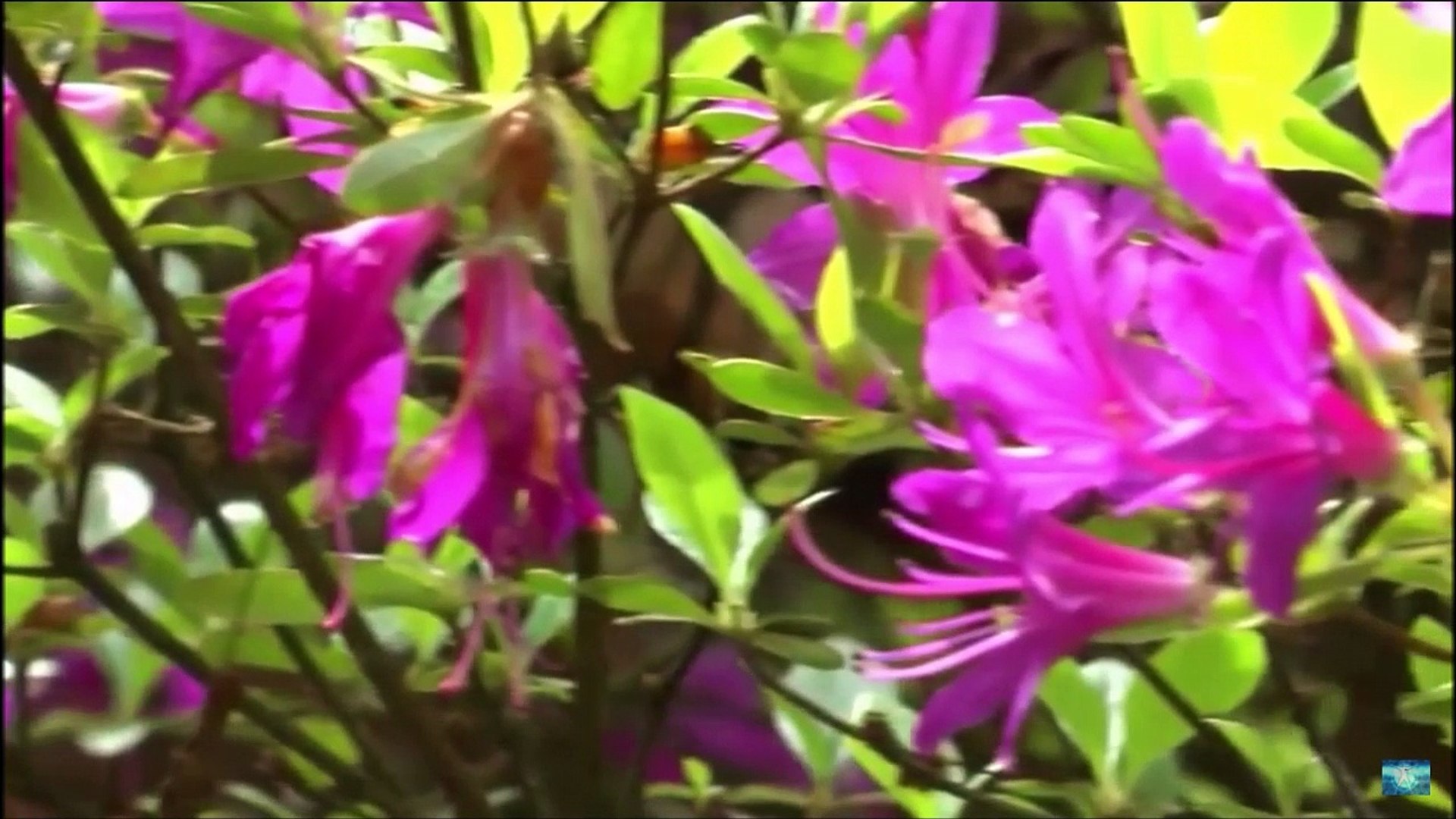 ⁣МУЗЫКА ДЛЯ ДУШИ!