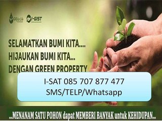 I-SAT 085 707 877 477 Pabrik kayu jabon