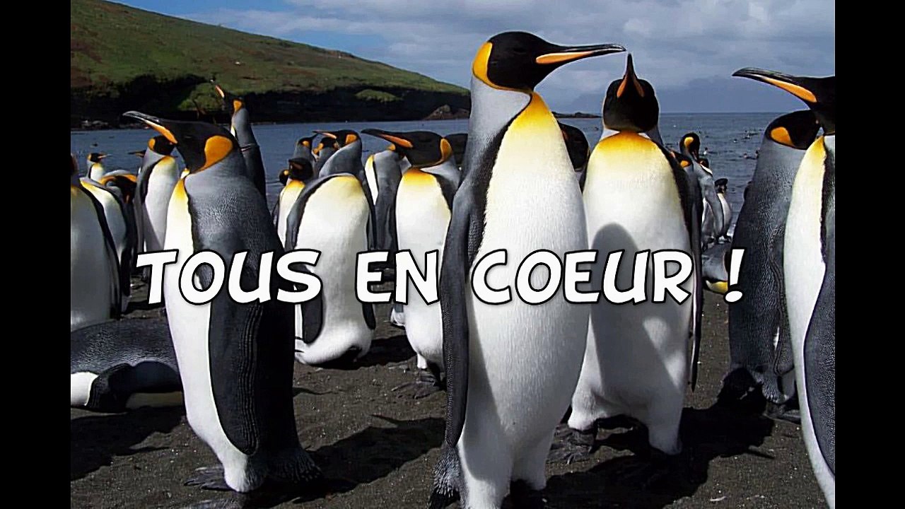 C'est chiant comme situation non ?
