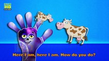 Finger Family Crazy Bull Finger Family Funny Finger Family Songs Top Fingertip Rhymes TV 1