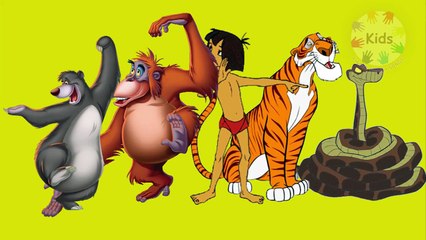 The Jungle Book | Finger Family Songs | Jungle Book Finger Family Song