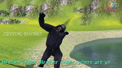 Gorilla Finger Family 3d Animated Nursery Children English Rhymes