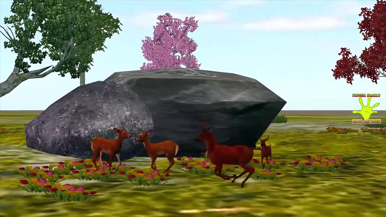 Beer Deer Animals Finger Family Rhymes Collection For Children | Animals Cartoon Rhymes For Children