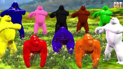 Crazy Gorilla Colourfull Colour Song || Learning Nursery Rhymes For Children Rhymes Compilation