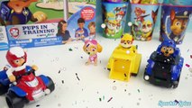 PAW PATROL GAME PUP RACERS AIR RESCUE CHASE ADVENTURE BAY RUBBLE ROCKEY MARSHALL SKYE TOYS