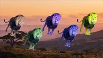 Finger Family Wild Lion Of Africa Daddy Finger Animation Nursery Rhyme Song For Kids & Toddlers