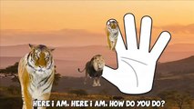 Finger Family Wild Animals Lion Tiger Elephant Daddy Finger Nursery Rhyme Song For Kids