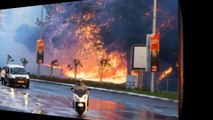 Israel fires, Israel Ptulla حرائق اسرائيل ، اسرائيل بتولع‎
