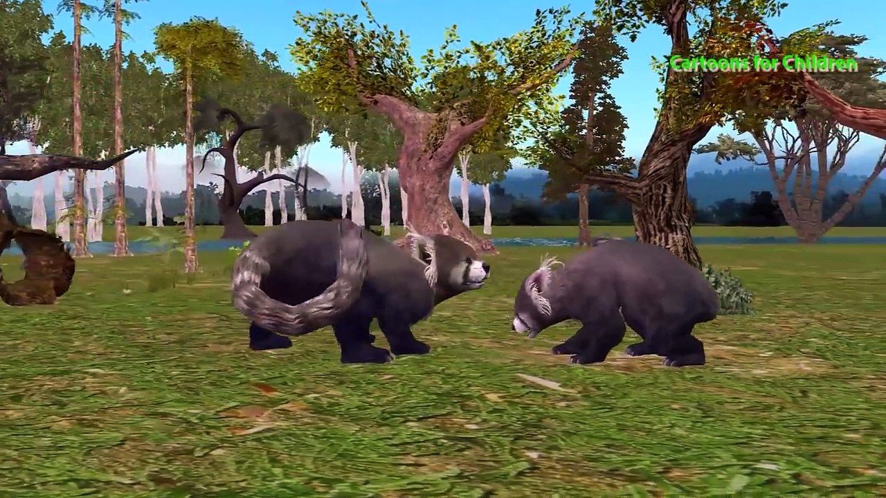 Red Panda Vs Black Panda Attacks | Baby Panda Finger Family Nursery Song | Wild Animals for Children