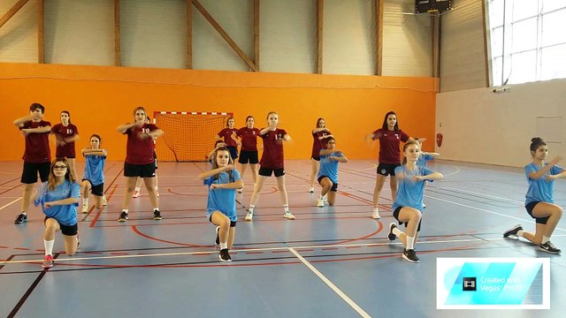 Concours FLASHMOB UNSS Championnat du monde de HANDBALL 2017 AS Lycée Pins-Justaret