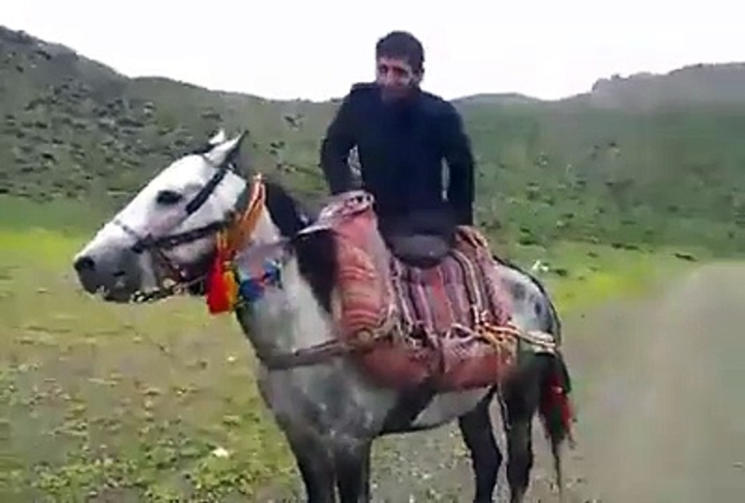 Atla Dans Eden Adam Helal Olsun - Mehmet Ali Arslan Videos