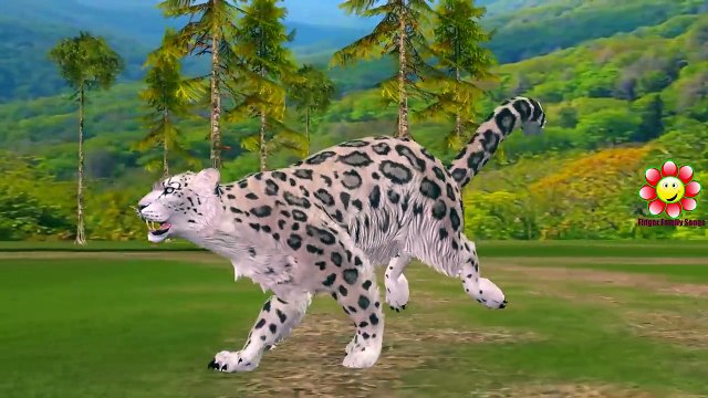 Learning Wild Animals Names | Cheetah Lion Tiger Rhino Elephant | Animals Names Sounds For Children