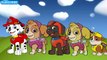 Daddy Finger Song Paw Patrol - Finger Family Paw Patrol - Nursery Rhymes for Children