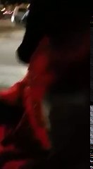 شاهد ماذا فعلت فتيات مغربيات مع رجل ملتحي