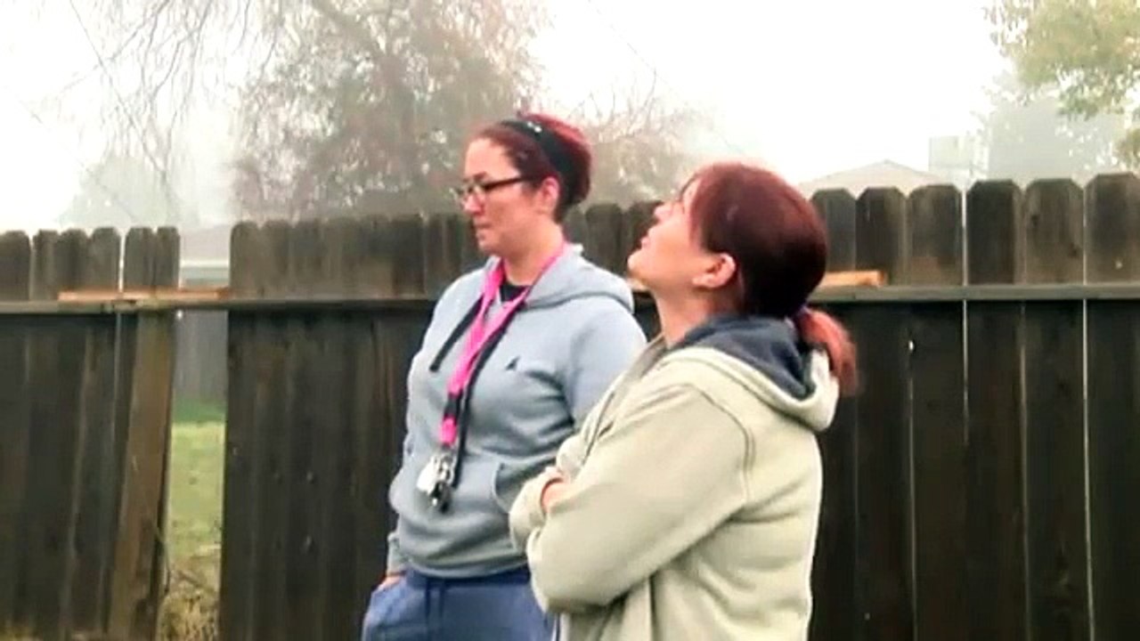 Un chat reste 9 jours sur un poteau électrique