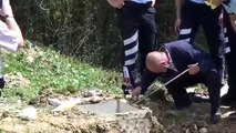 Sauvetage d'un ours tombé dans une fosse septique