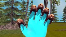 3d Animated Finger Family Rhymes For Children | Top Animated Animal Finger Family