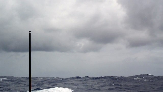 J21 : Kito de Pavant filme un albatros / Vendée Globe