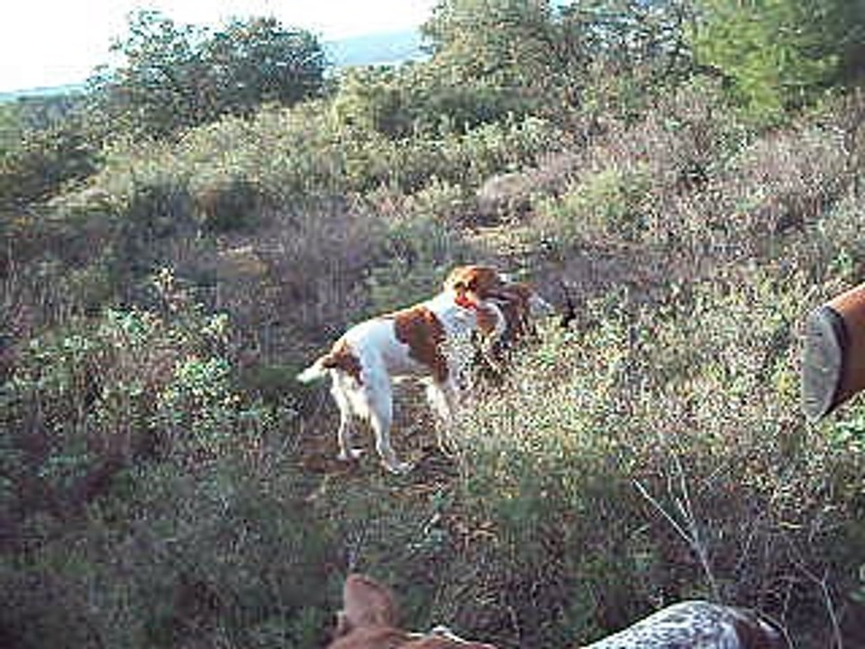 Un dimanche à la chasse
