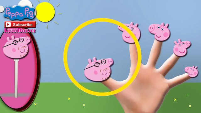 Peppa Pig Lollipop Finger Family Song PeppaPig Nursery Rhymes The Pig Family LullaBabies