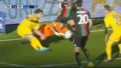 Frosinone - Ternana 1-1. ALL GOALS. Serie B 26⁄11⁄2016