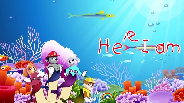 Paw Patrol Transforms Incredibles Finger Family Songs / Daddy Finger Family Nursery Rhymes Lyrics