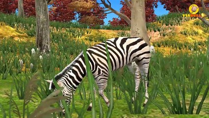 King kong Vs Dinosaurs Funny Olympics Games 2016 3D Aimation Cartoon Nursery Fun Learning Videos