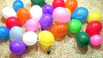 The Balloons Popping Show Learning Colors For Kids Children Toddlers with Balloons part 1