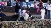 Bullfighting Accidents, not shown on live tv, funny bull fighting videos funny clip