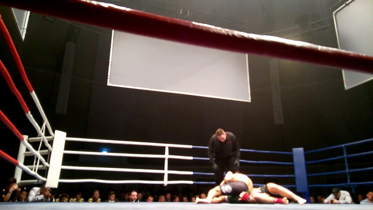 Selim Jangubaev vs Jordan Beljic   25/11/16  MMA