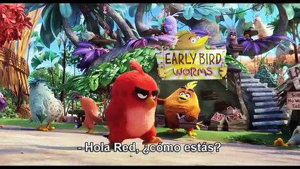 Angry Birds. La película (2016) Tráiler Oficial #2 Subtitulado