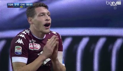 Torino FC 2-1 Chievo Verona - All Goals Exclusive (26/11/2016) / SERIE A