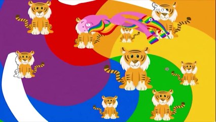 Zoo Animals | Coloring and Music | Rainbow Horse | BabyFirst TV