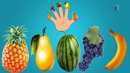 Fruits Finger Family | Fruits Song | Nursery Rhymes For Children