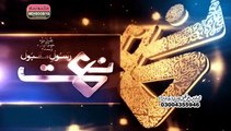 kya bat ali dy lalan di by shakeel qadri new naat