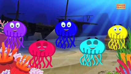 Jellyfish Finger Family Songs For Kids And Nursery Rhymes For children