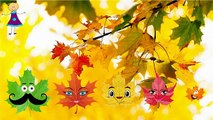 Finger Family MAPLE LEAF Cartoon Nursery Rhyme | Finger Family Children Nursery Rhymes 2D