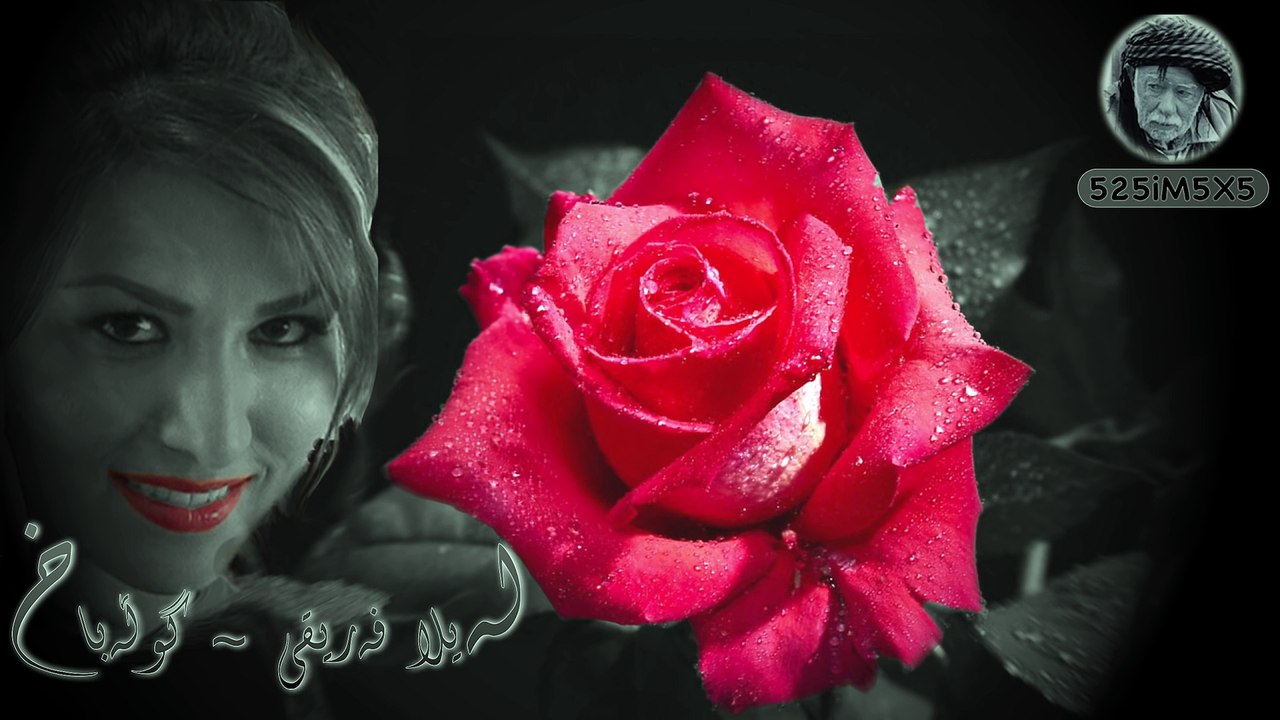 Leila Feriqi ـ Gulla Bax - لەیلا فەریقی- گوڵەباخ