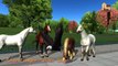 Horse Finger Family Nursery Children 3d Rhymes | Animated Animals Funny Songs