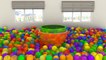 DuckDuckKidsTV || NEW Crazy Ball Pit Show 3D for Kids to Learn Colors with Giant Surprise Eggs Balls