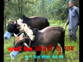 Byakhuni ku Ghaam, (Garhwali film Song Prom, Coming soon short  film)