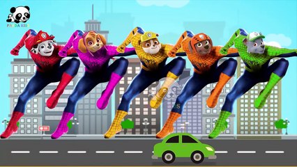 #Paw Patrol #Spiderman #Finger Family Songs #Nursery Rhymes Lyric & More Panda Kids