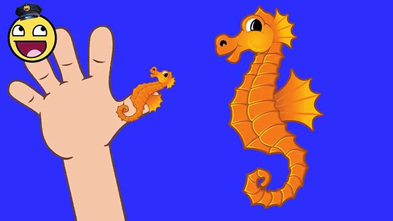 Childrens | SeaHorse Finger Family Song | Rhymes Songs